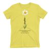 Premium Cotton (Ladies) Thumbnail