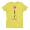 Premium Cotton (Ladies) Thumbnail