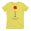 Premium Cotton (Ladies) Thumbnail