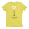 Premium Cotton (Ladies) Thumbnail